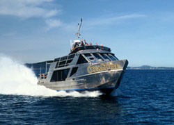 Orca Spirit covered whale watching boat